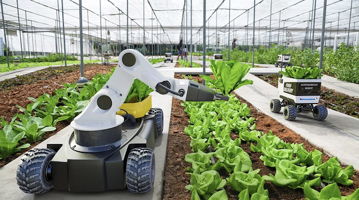 The Role of Robotics in Revolutionizing Agriculture