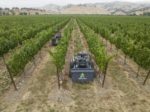 Agtonomy_Fleet_in_Vineyard_small.jpg