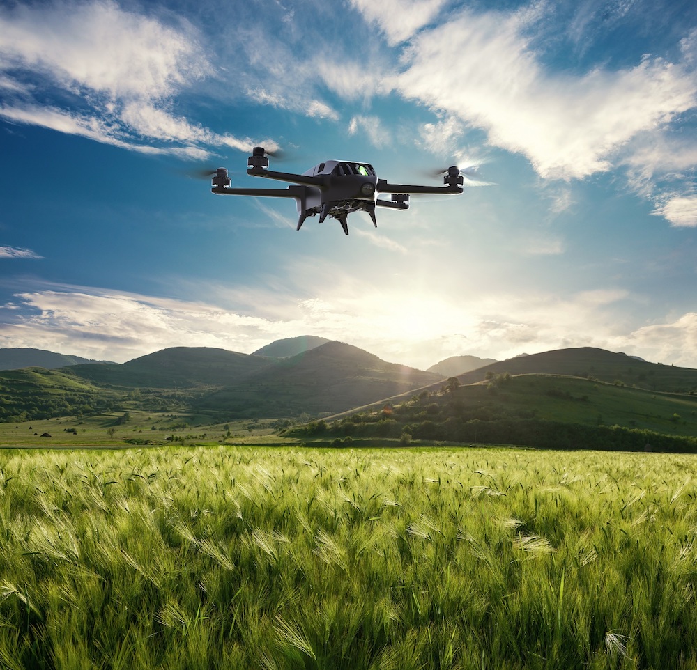 bluegrass fields drone