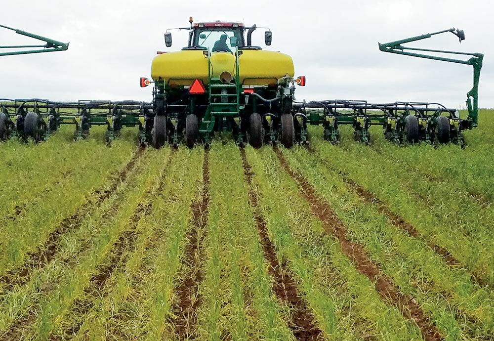 no-till-soybean-planting.jpeg