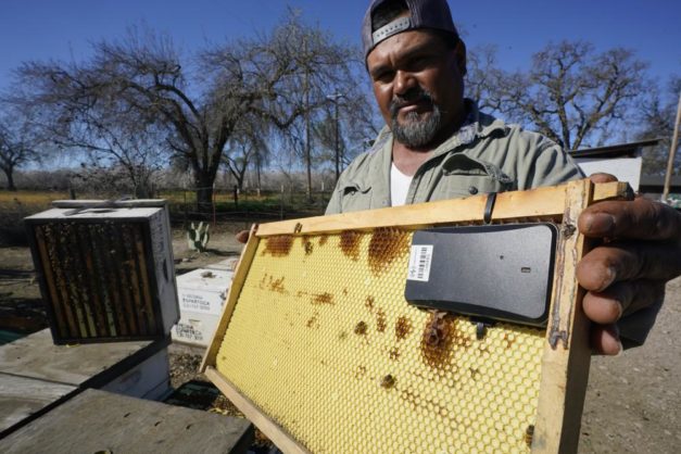 High-Tech and Accurate GPS Tracker for Beehives 