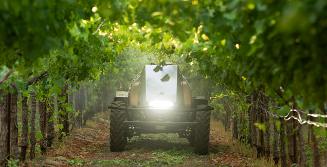 mini guss autonomous sprayer in orchard